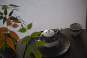 white-night-half-half-teapot-11