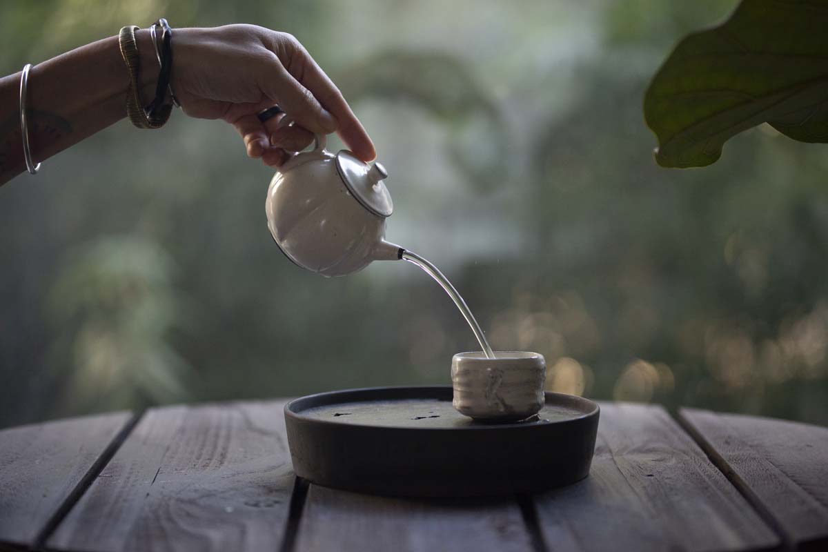 white night pumpkin teapot 13 | BITTERLEAF TEAS white night pumpkin teapot 13 | BITTERLEAF TEAS