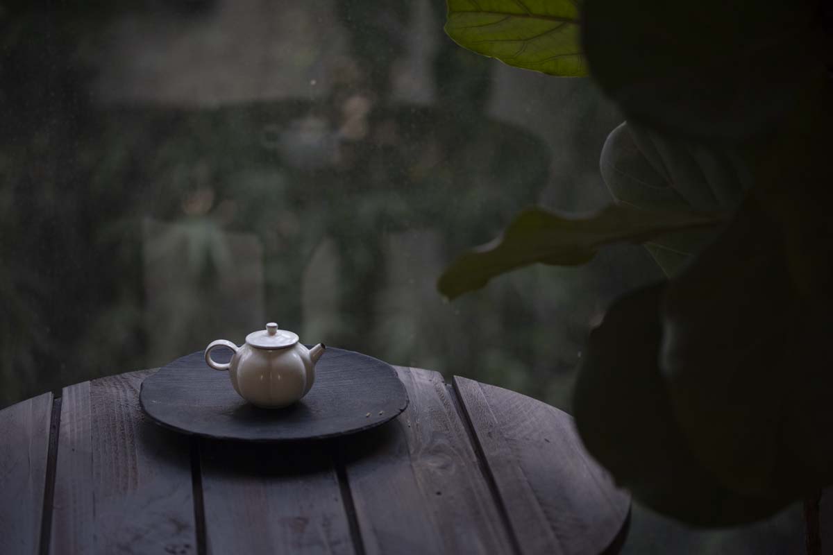 white night pumpkin teapot 9 | BITTERLEAF TEAS white night pumpkin teapot 9 | BITTERLEAF TEAS