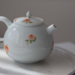 1001-teapots-illustrated-12