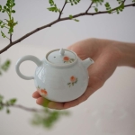 1001-teapots-illustrated-16