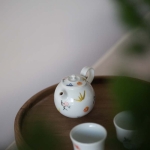 1001-teapots-illustrated-2