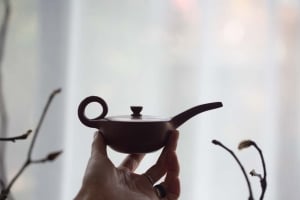 3-wishes-chaozhou-clay-teapot-11