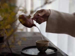comet chaozhou clay kyusu teapot 1 | BITTERLEAF TEAS