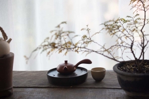comet-chaozhou-clay-kyusu-teapot-4
