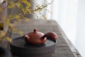 Chaozhou Clay Comet Kyusu Teapot