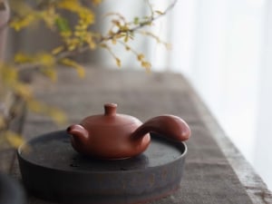 comet chaozhou clay kyusu teapot 7 | BITTERLEAF TEAS