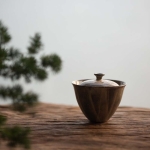 cosmo-gaiwan-large-1