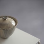 cosmo-gaiwan-small-4