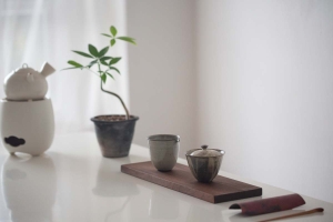 cosmo-gongdaobei-large-2