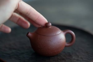 yixing-zini-zisha-kemei-xishi-teapot-12