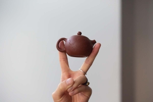 yixing-zini-zisha-kemei-xishi-teapot-17