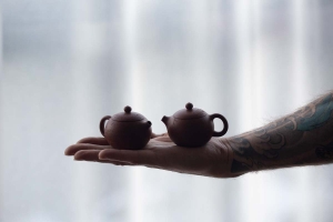 yixing-zini-zisha-kemei-xishi-teapot-4