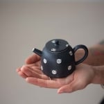 guangs-sketchbook-panda-dot-teapot-small-9