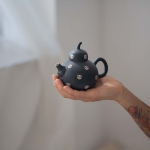 guangs-sketchbook-panda-gourd-teapot-8