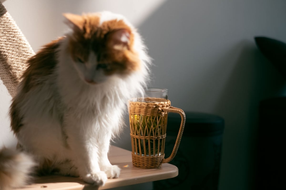 grandpas basket glass cup 13 | BITTERLEAF TEAS