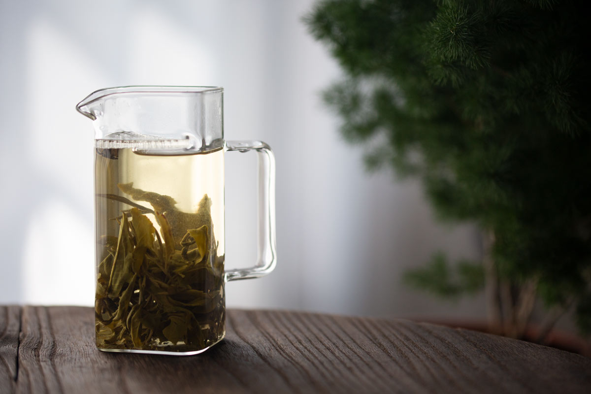 strain it pitcher 4 | BITTERLEAF TEAS strain it pitcher 4 | BITTERLEAF TEAS