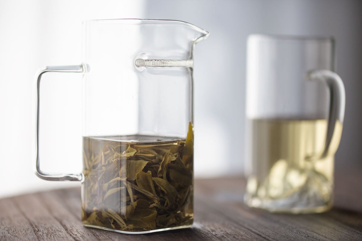 strain it pitcher 9 | BITTERLEAF TEAS strain it pitcher 9 | BITTERLEAF TEAS