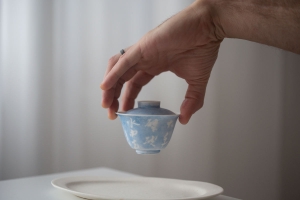 instinct-delicate-gaiwan-si-7