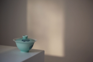 instinct-delicate-gaiwan-yi-10