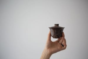 instinct-raw-gaiwan-er-13