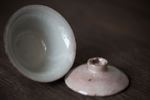 instinct-raw-gaiwan-liu-3