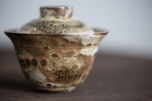 instinct-raw-gaiwan-si-2