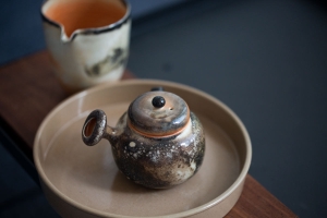 1001 Teapots - Teapot #365