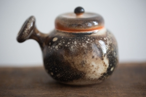1001 Teapots - Teapot #365
