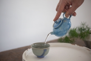 1001 Teapots - Teapot #368