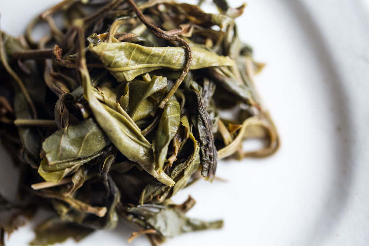 bitter end 2022 laomane raw puer 10 | BITTERLEAF TEAS