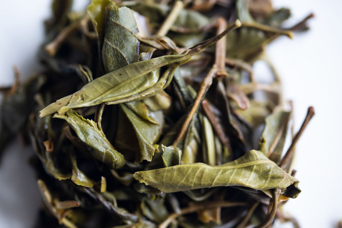bitter end 2022 laomane raw puer 11 | BITTERLEAF TEAS