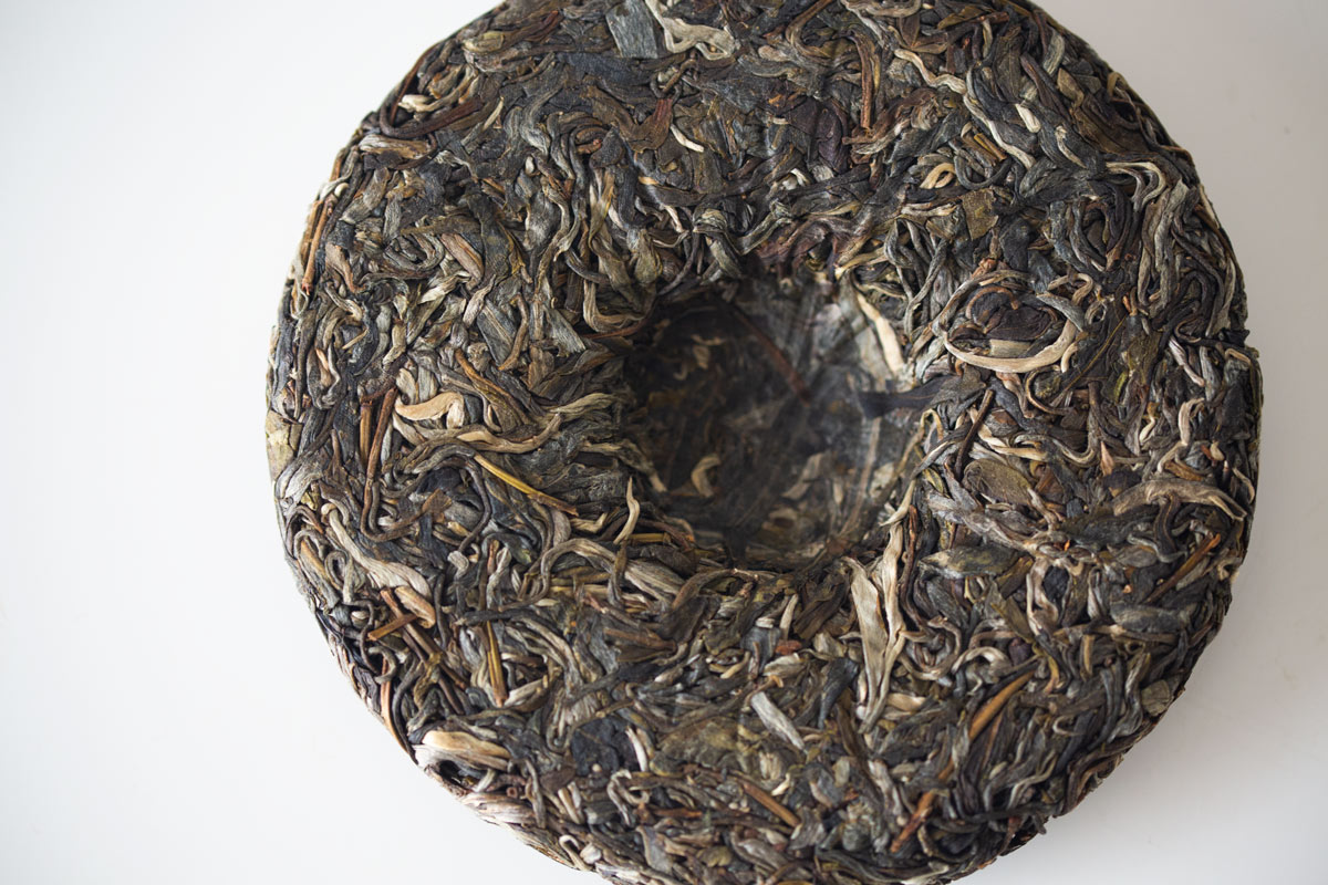 bitter end 2022 laomane raw puer 6 | BITTERLEAF TEAS