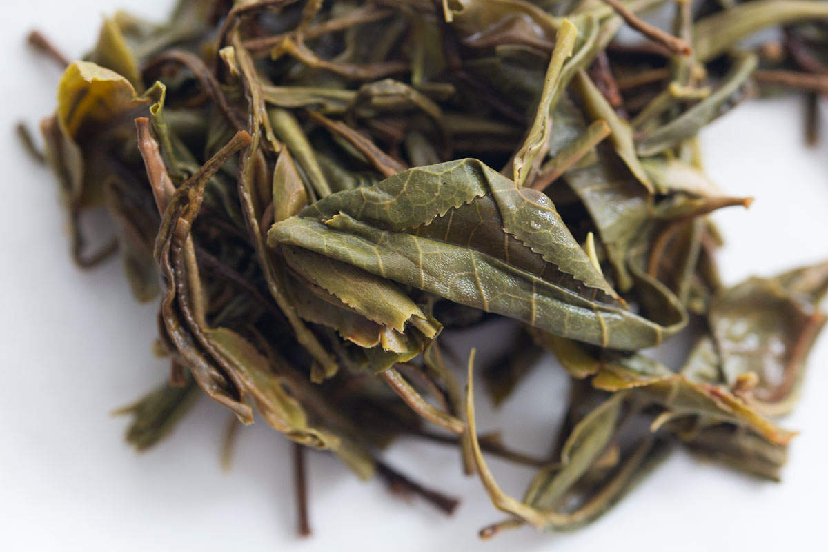 charmed 2022 lincang raw puer 10 | BITTERLEAF TEAS charmed 2022 lincang raw puer 10 | BITTERLEAF TEAS