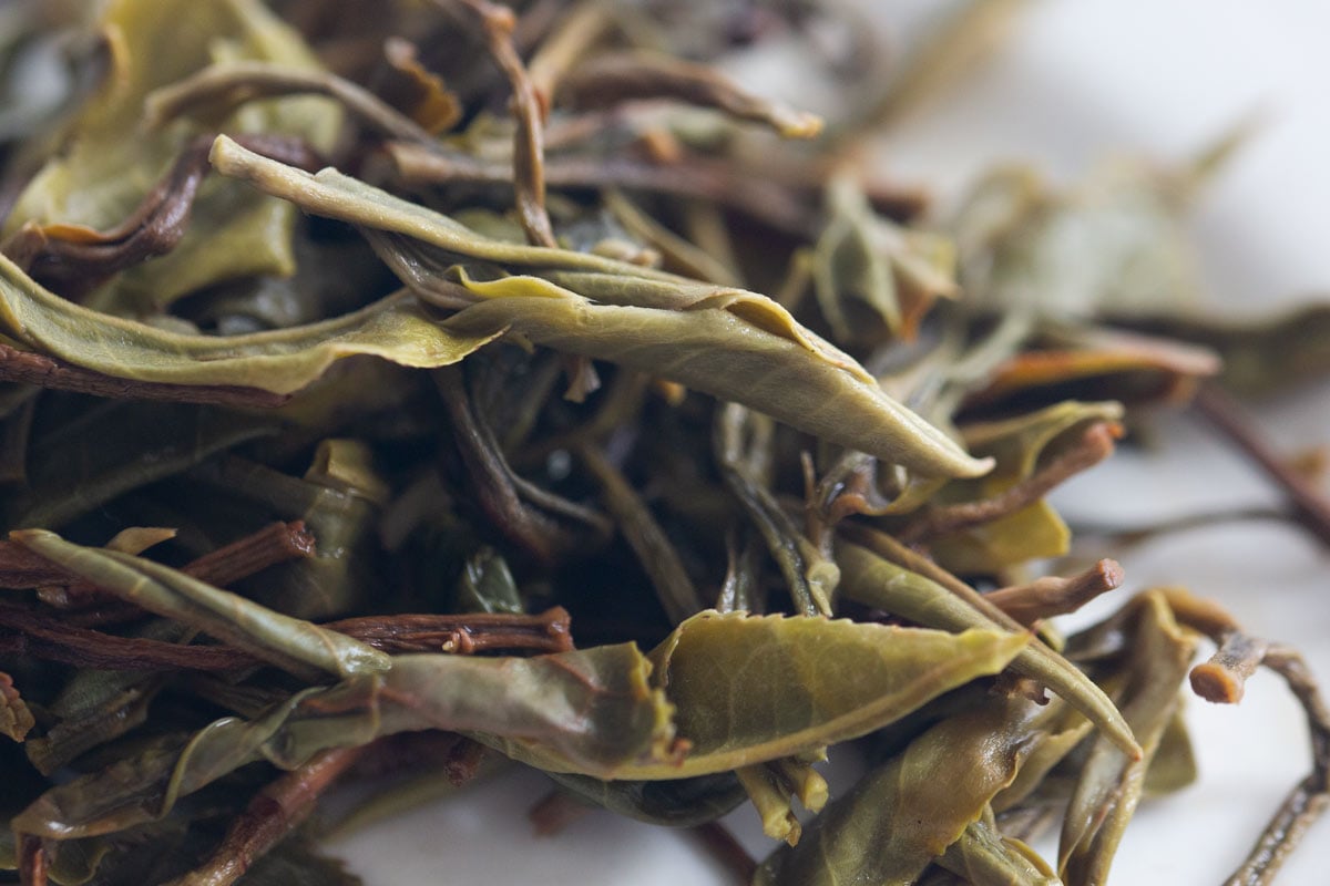 charmed 2022 lincang raw puer 11 | BITTERLEAF TEAS charmed 2022 lincang raw puer 11 | BITTERLEAF TEAS