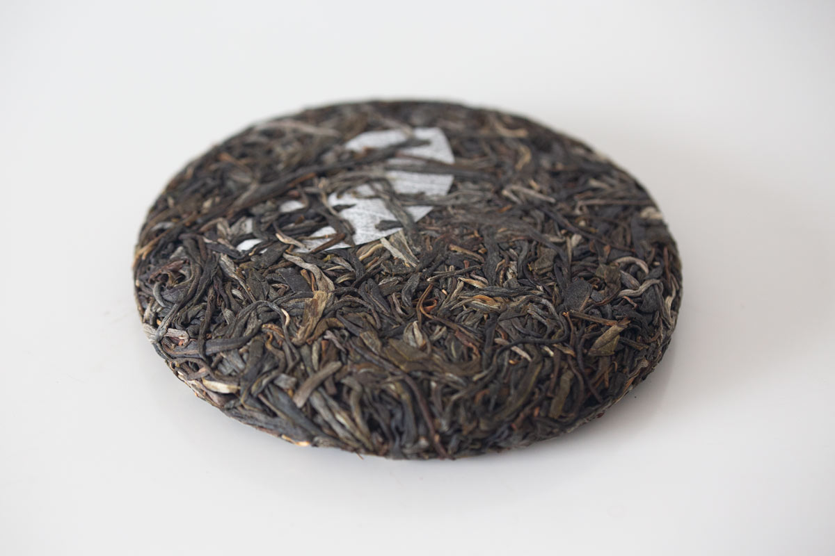 charmed 2022 lincang raw puer 8 | BITTERLEAF TEAS charmed 2022 lincang raw puer 8 | BITTERLEAF TEAS