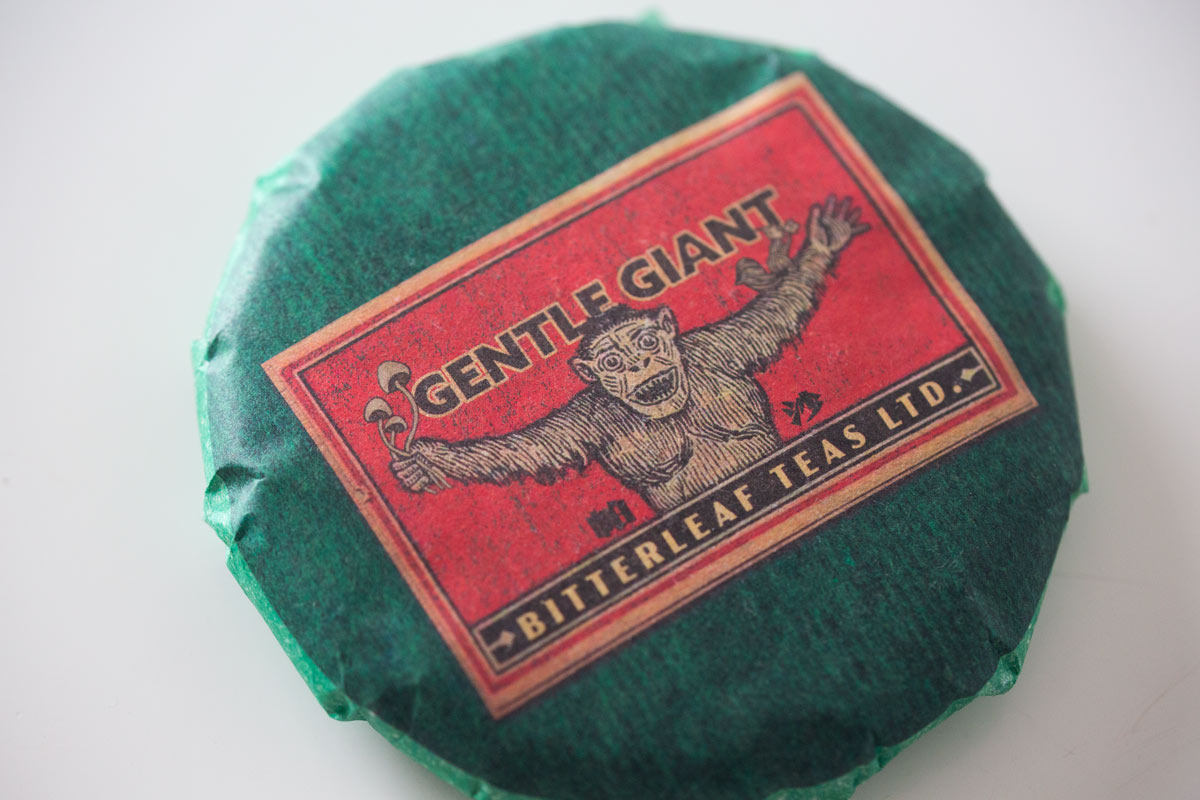gentle giant 2022 pasha raw puer 2 | BITTERLEAF TEAS gentle giant 2022 pasha raw puer 2 | BITTERLEAF TEAS