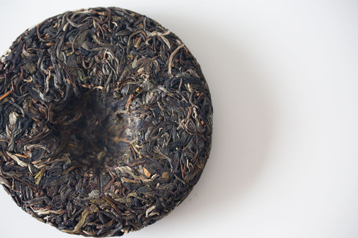 gentle giant 2022 pasha raw puer 6 | BITTERLEAF TEAS gentle giant 2022 pasha raw puer 6 | BITTERLEAF TEAS
