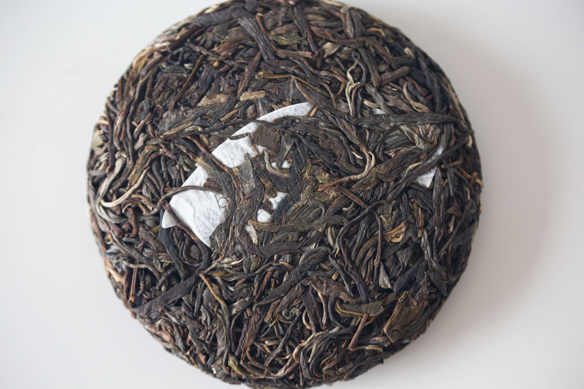 gentle giant 2022 pasha raw puer 7 | BITTERLEAF TEAS gentle giant 2022 pasha raw puer 7 | BITTERLEAF TEAS