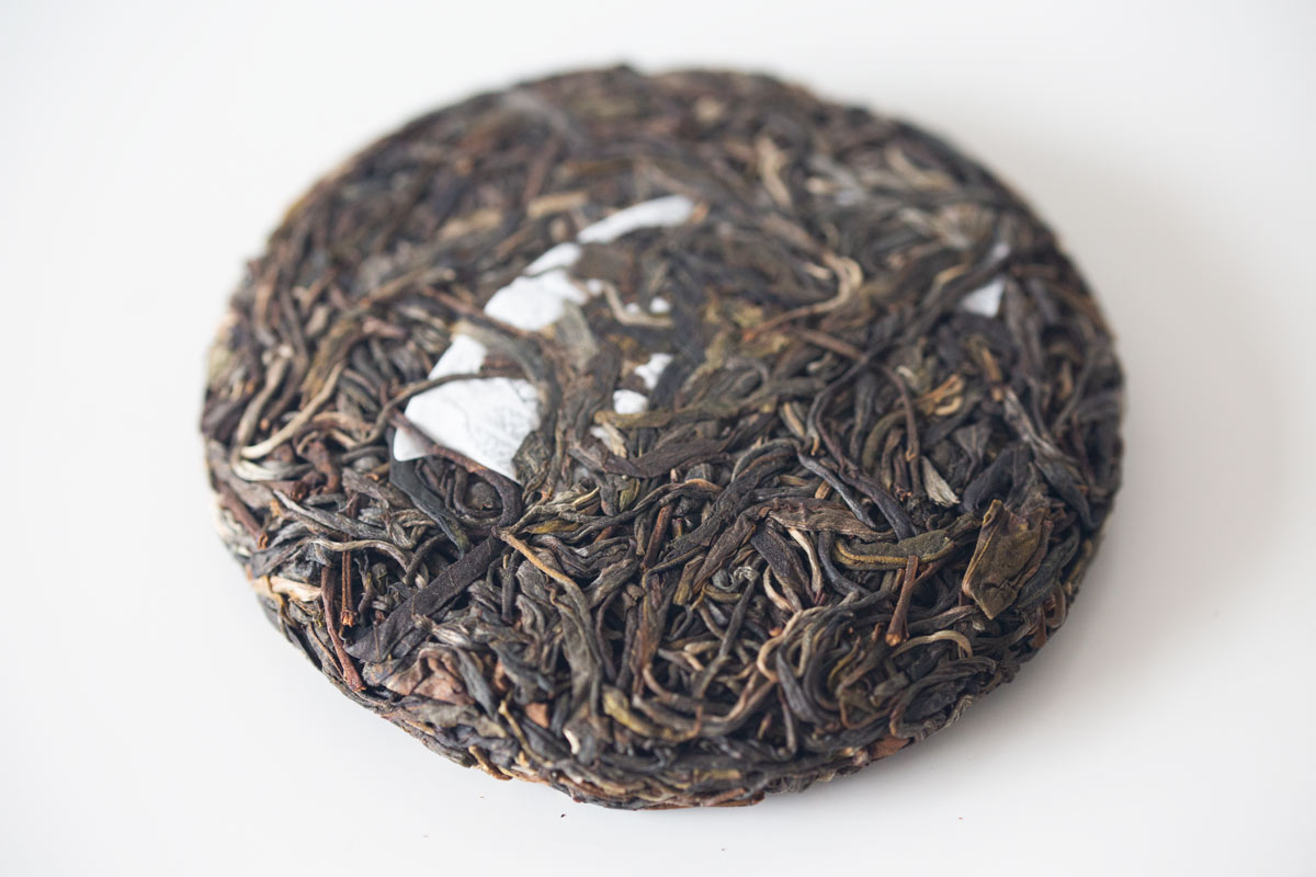gentle giant 2022 pasha raw puer 8 | BITTERLEAF TEAS gentle giant 2022 pasha raw puer 8 | BITTERLEAF TEAS