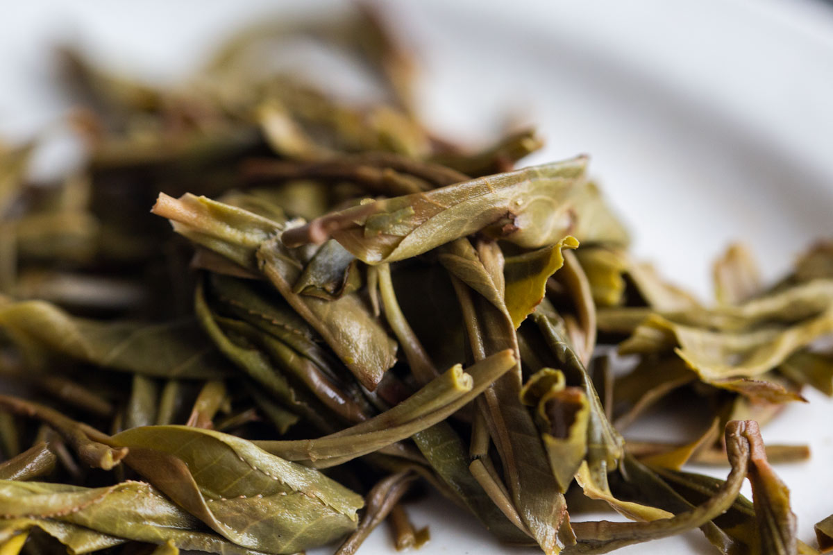 great expectations 2022 pasha raw puer 11 | BITTERLEAF TEAS great expectations 2022 pasha raw puer 11 | BITTERLEAF TEAS