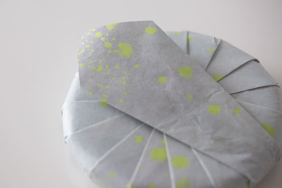 great expectations 2022 pasha raw puer 4 | BITTERLEAF TEAS great expectations 2022 pasha raw puer 4 | BITTERLEAF TEAS