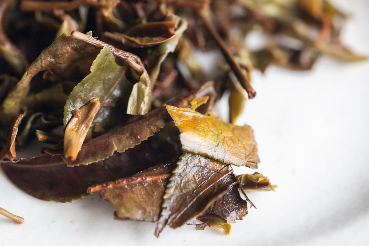jingmai 2022 huangpian raw puer 10 | BITTERLEAF TEAS jingmai 2022 huangpian raw puer 10 | BITTERLEAF TEAS