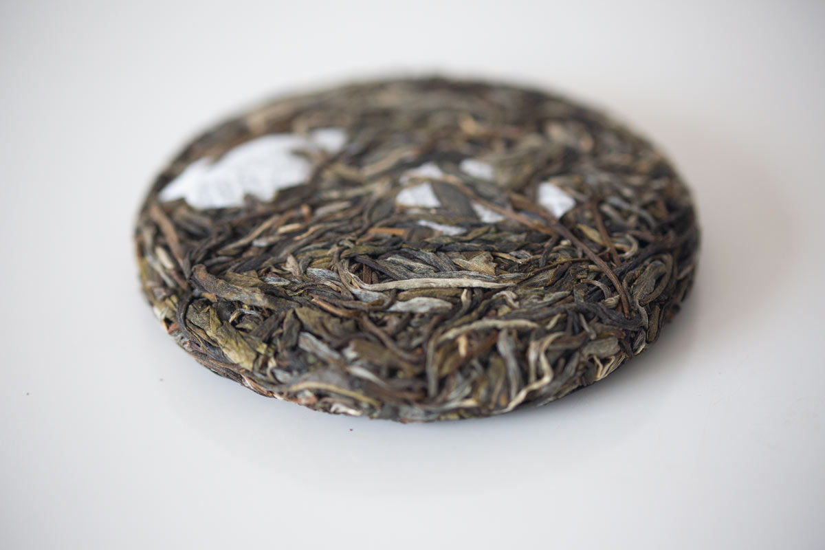 kingpin 2022 youle raw puer 3 | BITTERLEAF TEAS kingpin 2022 youle raw puer 3 | BITTERLEAF TEAS