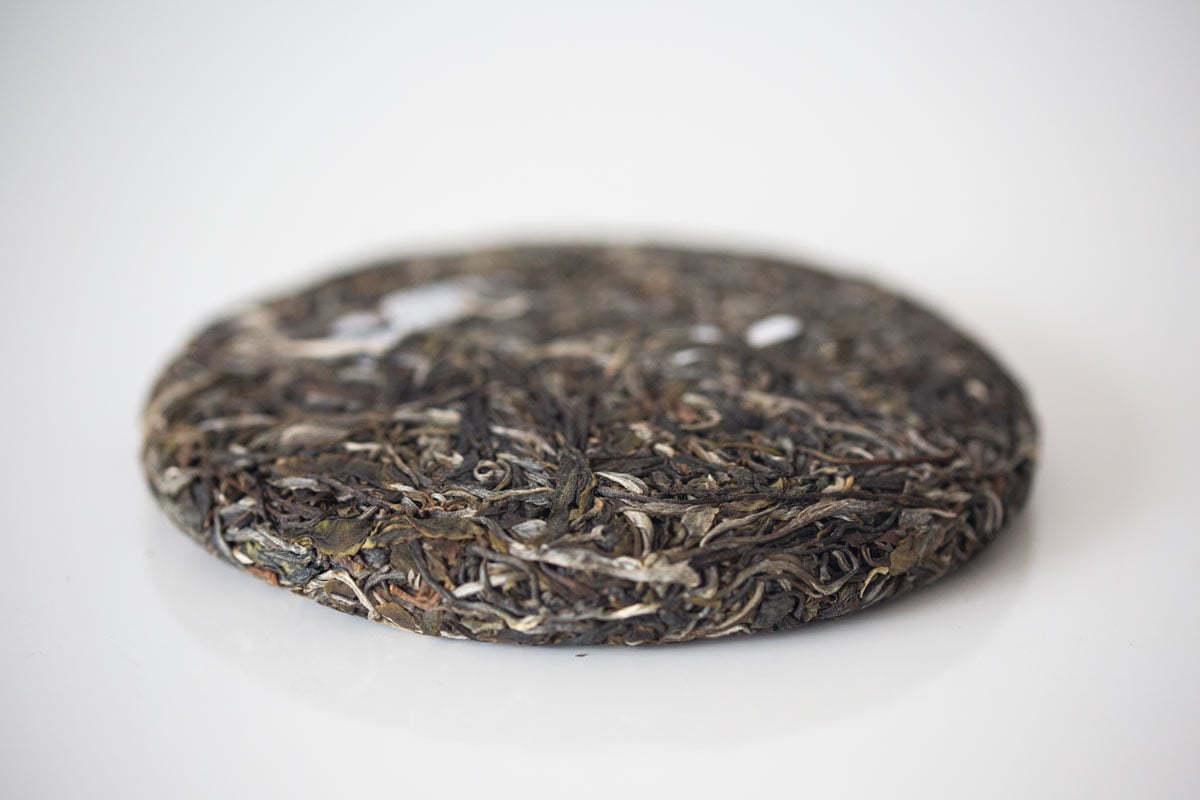 monsieur lafelur 2022 jingmai raw puer 6 | BITTERLEAF TEAS monsieur lafelur 2022 jingmai raw puer 6 | BITTERLEAF TEAS