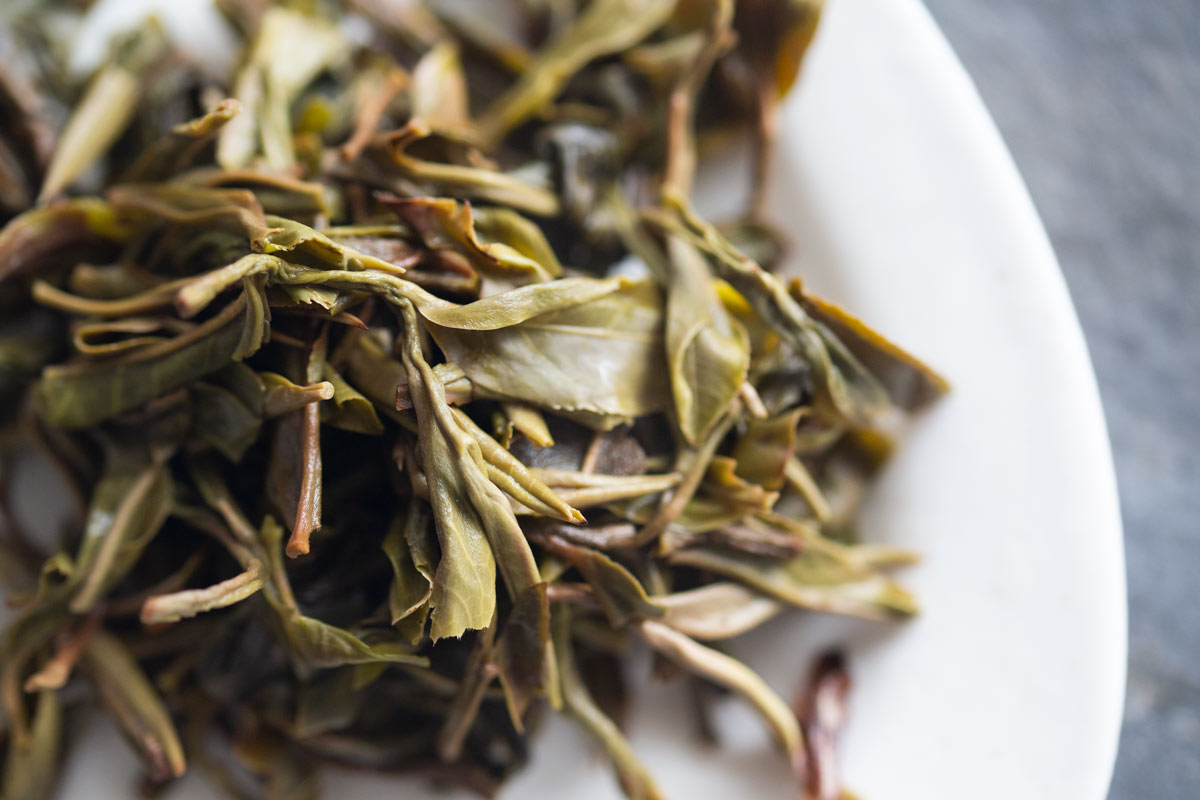 plum beauty 2022 mengsong raw puer 10 | BITTERLEAF TEAS