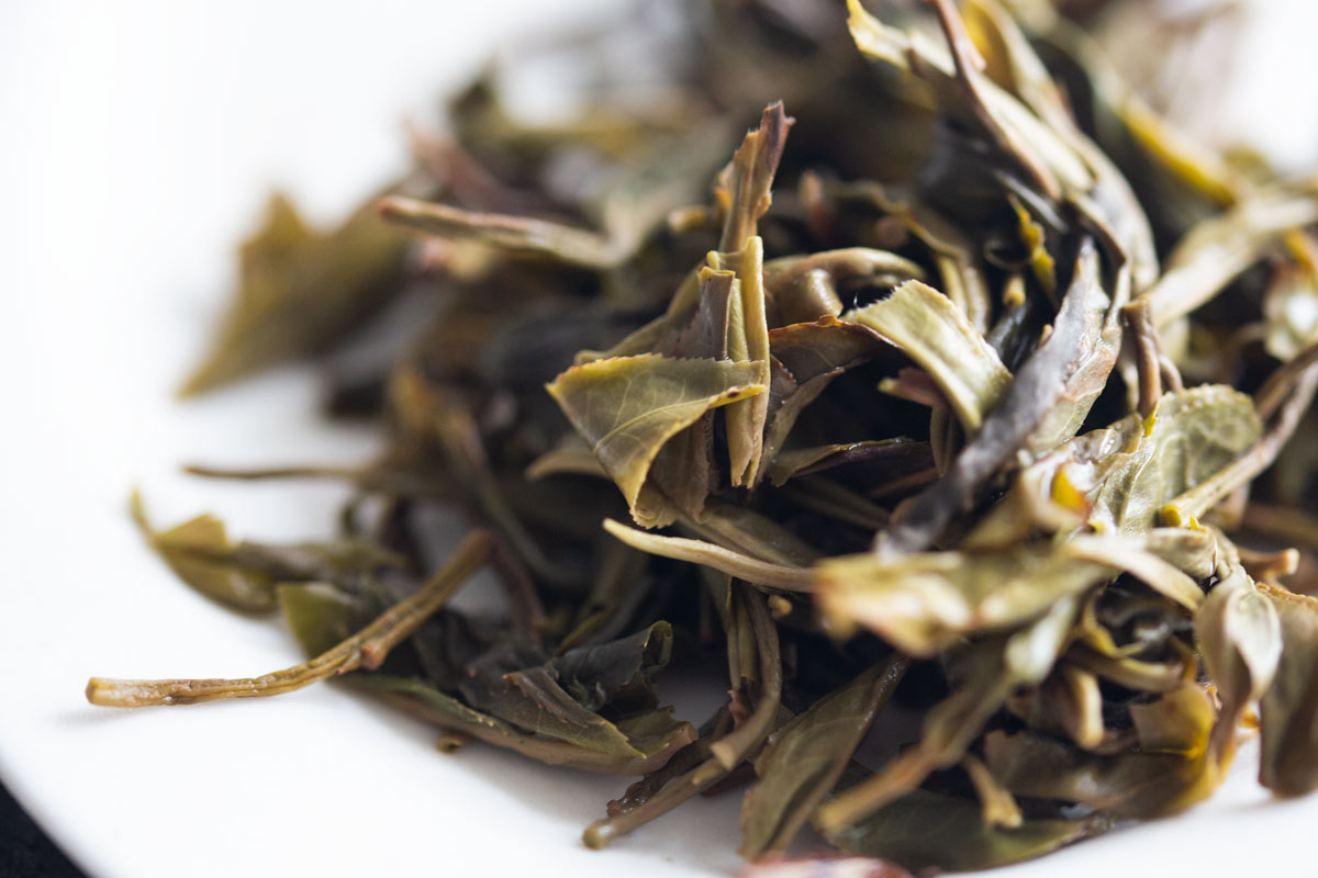 plum beauty 2022 mengsong raw puer 11 | BITTERLEAF TEAS