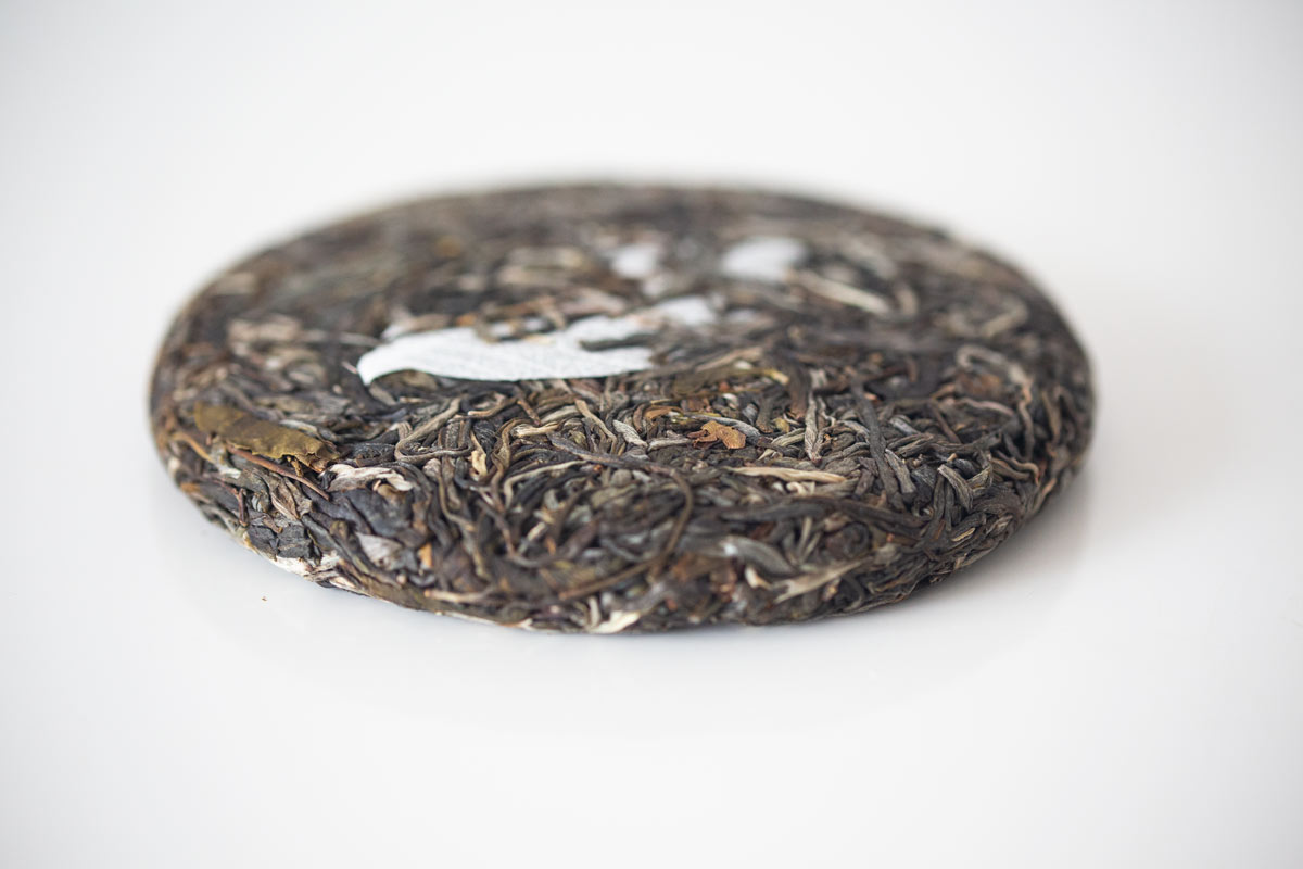 plum beauty 2022 mengsong raw puer 6 | BITTERLEAF TEAS