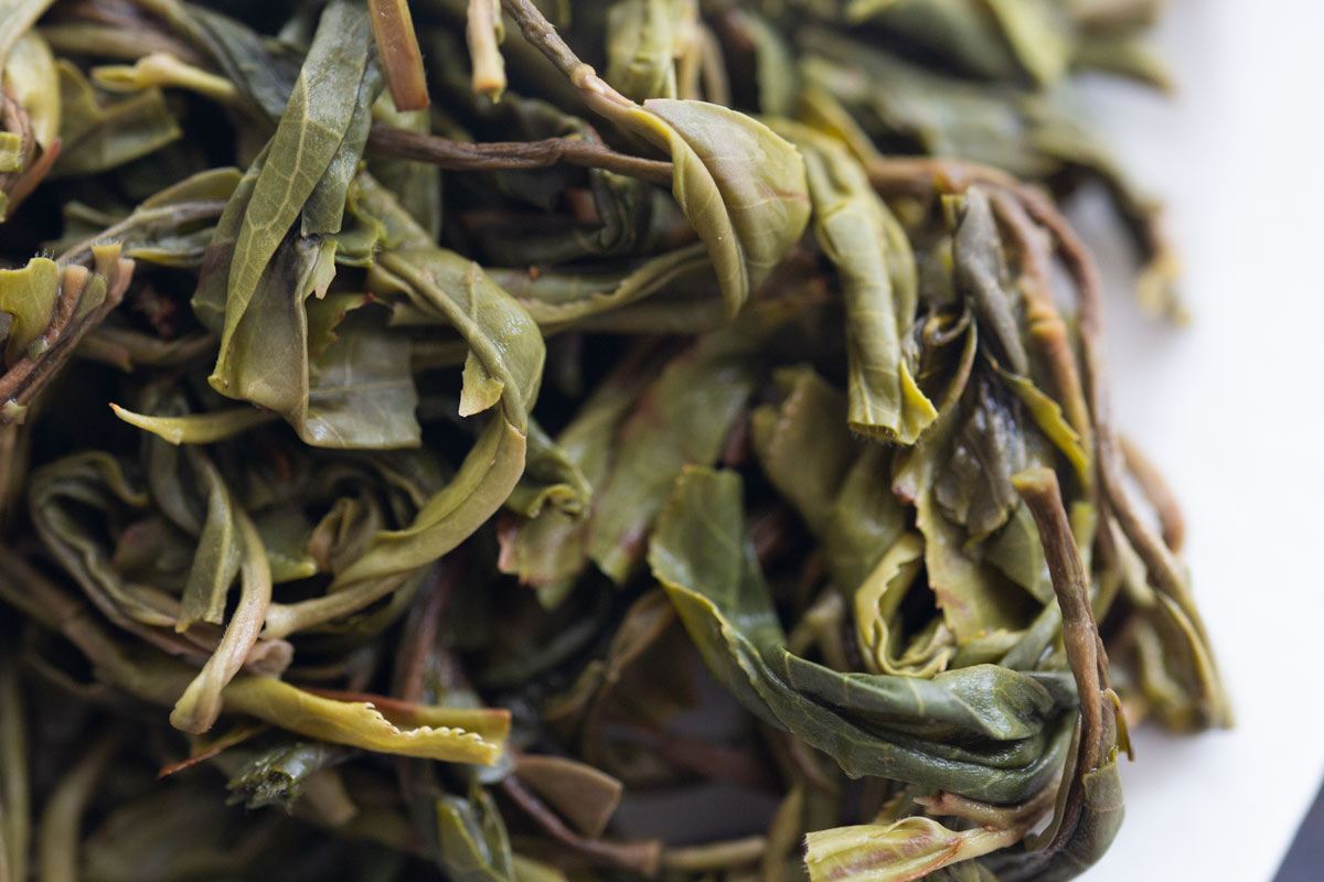 slow burn 2022 baiying raw puer 10 | BITTERLEAF TEAS