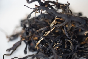 year-of-the-tiger-2022-yiwu-black-tea-2